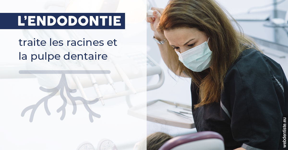https://dr-knafou-abensur-anita.chirurgiens-dentistes.fr/L'endodontie 1