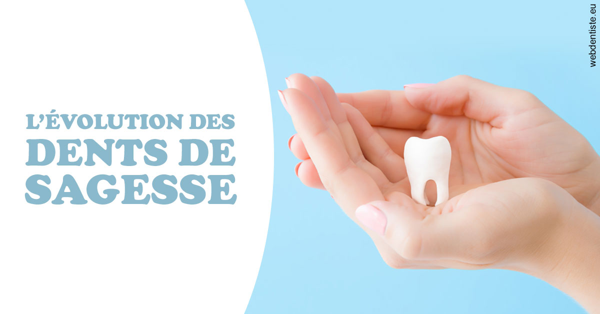 https://dr-knafou-abensur-anita.chirurgiens-dentistes.fr/Evolution dents de sagesse 1