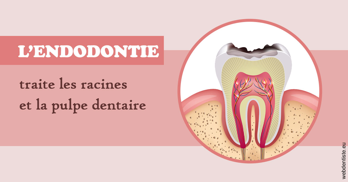 https://dr-knafou-abensur-anita.chirurgiens-dentistes.fr/L'endodontie 2