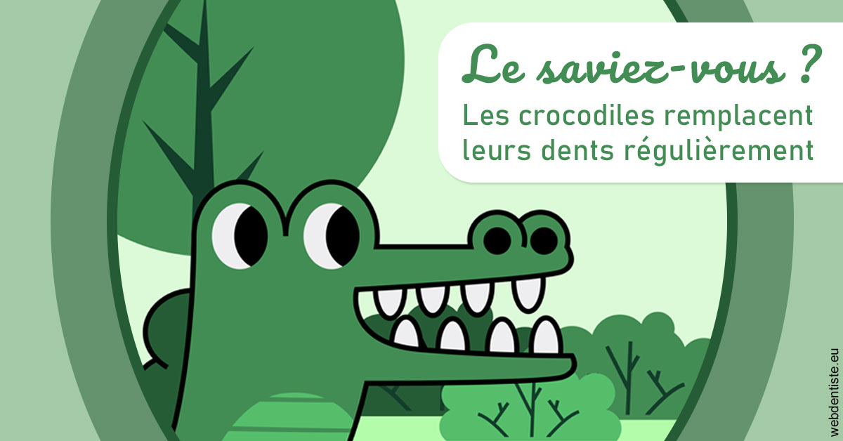 https://dr-knafou-abensur-anita.chirurgiens-dentistes.fr/Crocodiles 2