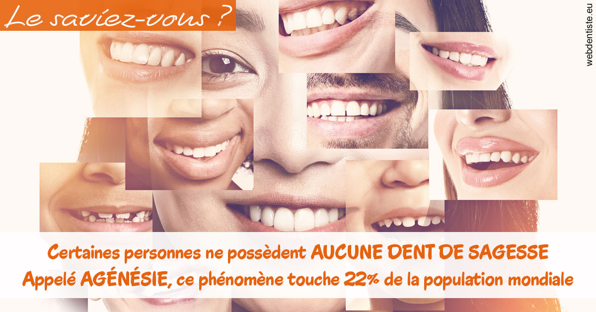 https://dr-knafou-abensur-anita.chirurgiens-dentistes.fr/Agénésie 2